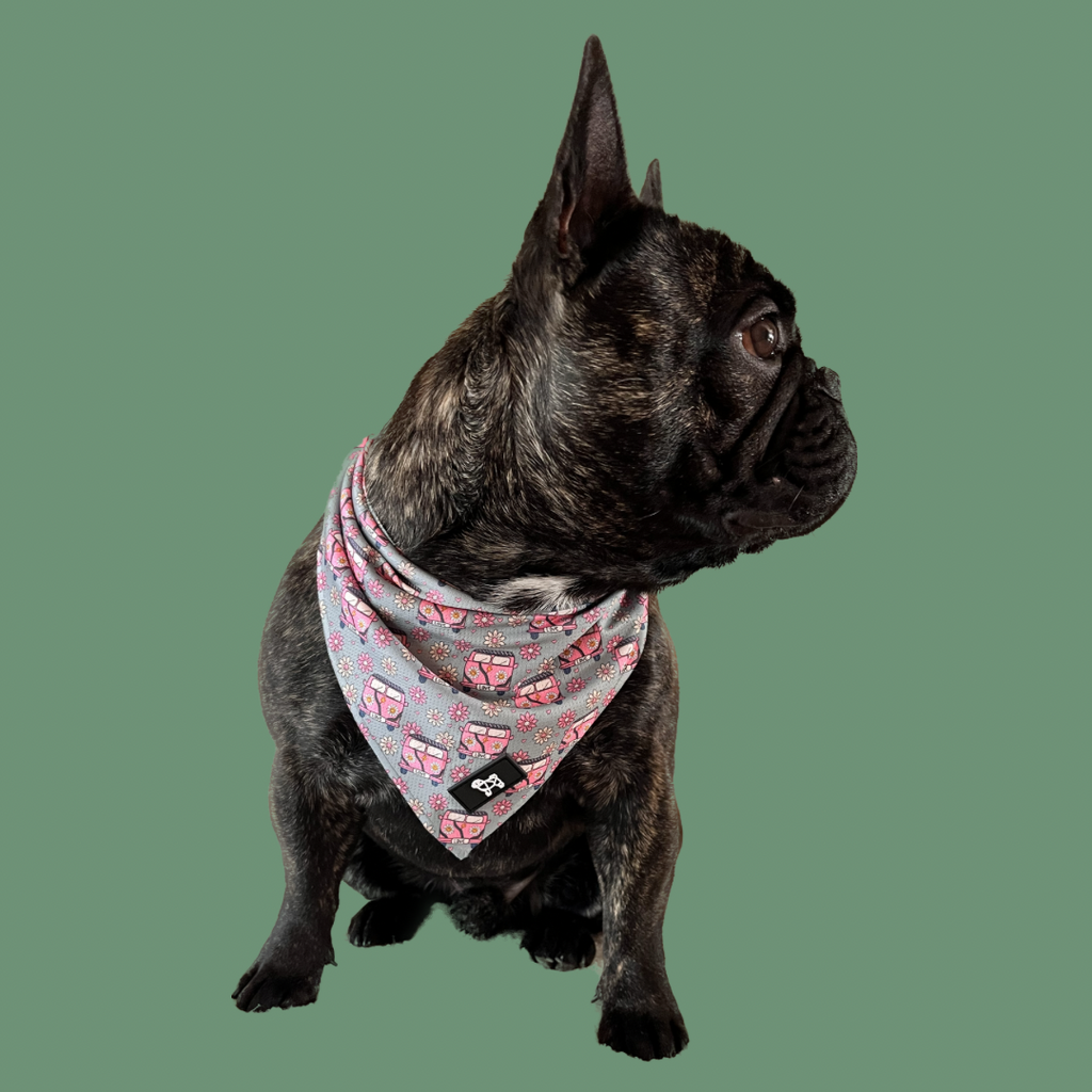 Bandana for your dog