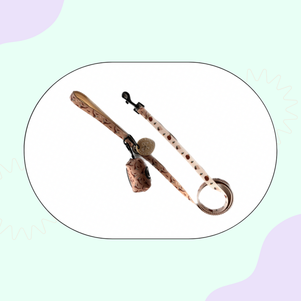 Bundle sets - Fashionable Dog Wear items